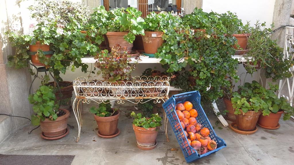 Villa Maria Bed & Breakfast, Corridonia, Marche Екстер'єр фото